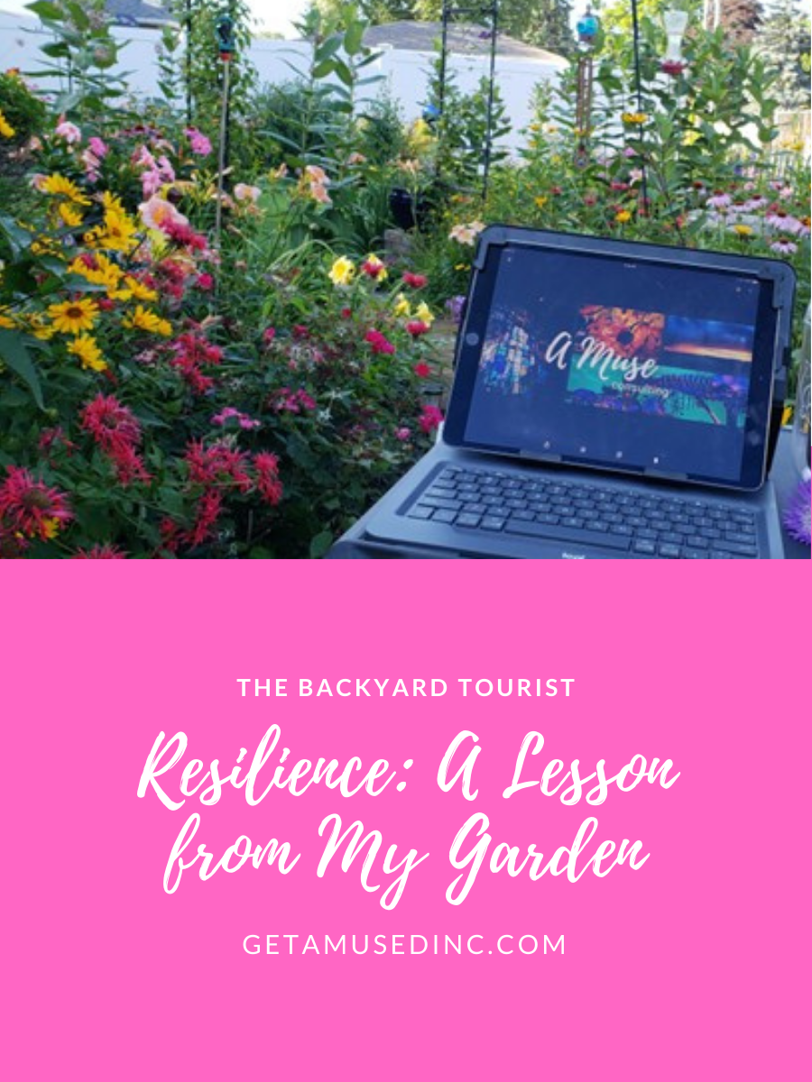 Resilience : A Lesson from My&nbsp;Garden